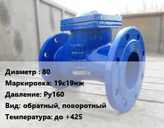 Клапан стальной 80 19с19нж Ру160 обратный, поворотный до +425